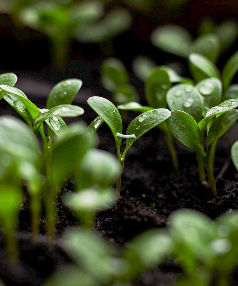 We’re growing 🌱