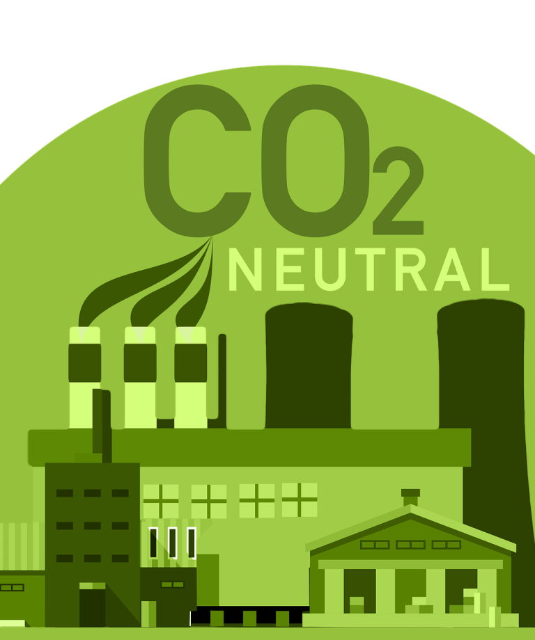 Carbon Offsetting - Sustainability in 60 seconds